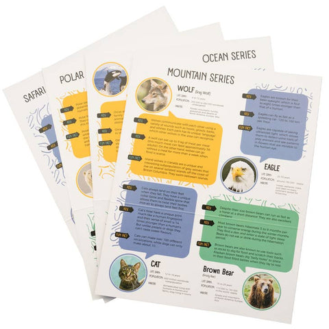 NEW! Polar Bear Alabaster Carving Kit by Studiostone Creative