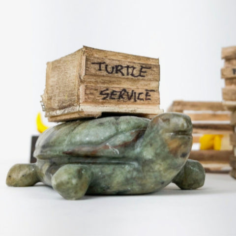 Double Kit: Turtle & Orca Soapstone Carving and Whittling Kit by Studiostone Creative