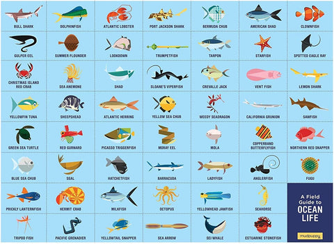 Ocean Life Search & Find Puzzle (64 pieces)