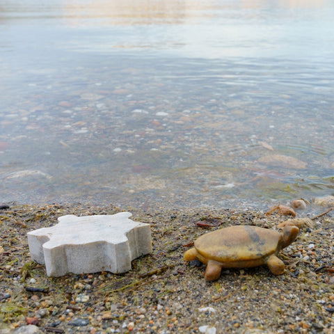 Double Kit: Turtle & Orca Soapstone Carving and Whittling Kit by Studiostone Creative