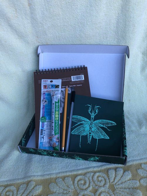 Drawing Insects with Ink- Art Lesson Kit by Solstice Handmade