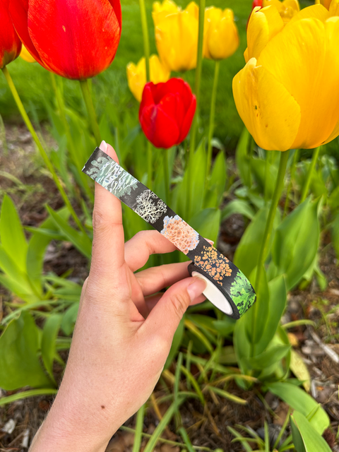Lichen Washi Tape! by Owl & Bear Studio