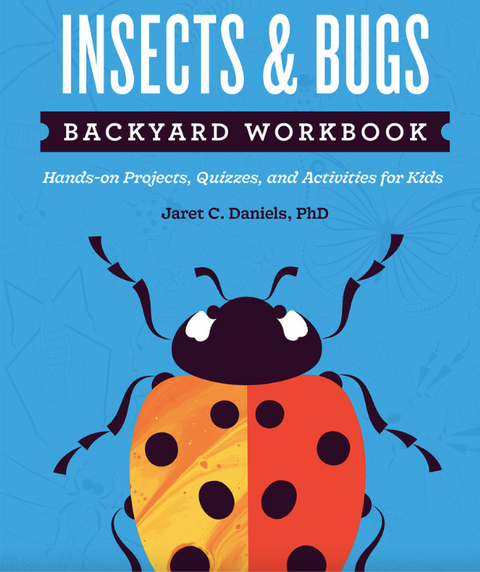 Insects & Bugs Backyard Workbook
