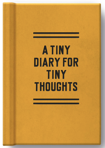 A Tiny Diary for Tiny Thoughts