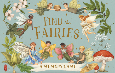 Find the Fairies A Memory Game