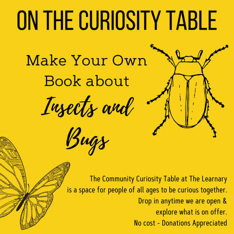 Now On The Curiosity Table: Make Your Own Book About Insects and Bugs