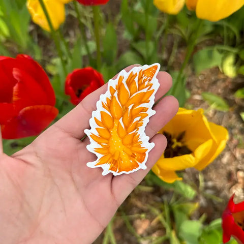 Golden Dirona Nudibranch Sticker (Vinyl) by Owl & Bear Studio