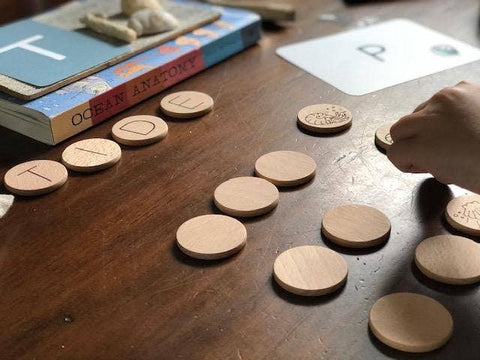 Ocean Memory Matching Game by Tree Fort Toys