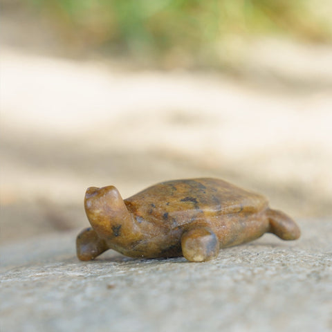 Double Kit: Turtle & Orca Soapstone Carving and Whittling Kit by Studiostone Creative
