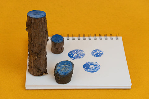 Nature Stamps: Learnary Kit