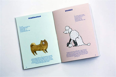 Adopt a Dog: An Illustrated Guide (and Activity Book)