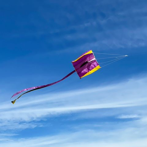 Pocket Parafoil Kite by Wild Life Outdoor Adventures