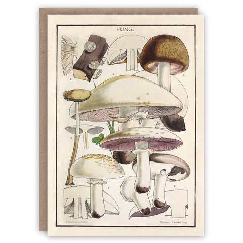 Fungi Greeting Card by The Pattern Book