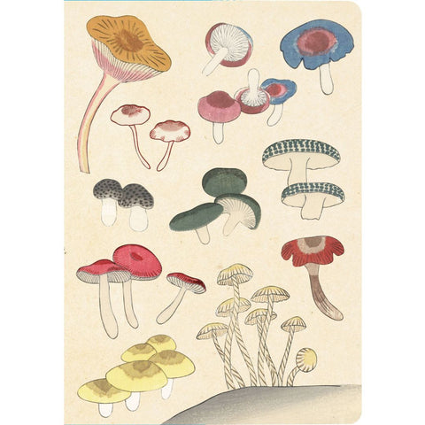 Healing Mushrooms Journal by Tuttle