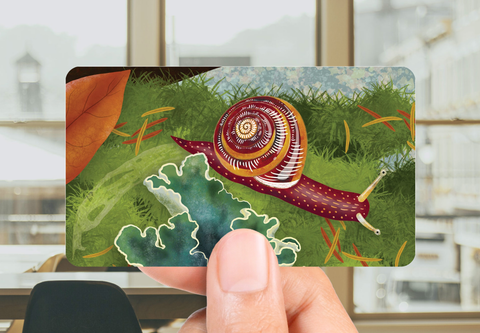 Pacific Sideband Snail Sticker (Vinyl) by Owl & Bear Studio