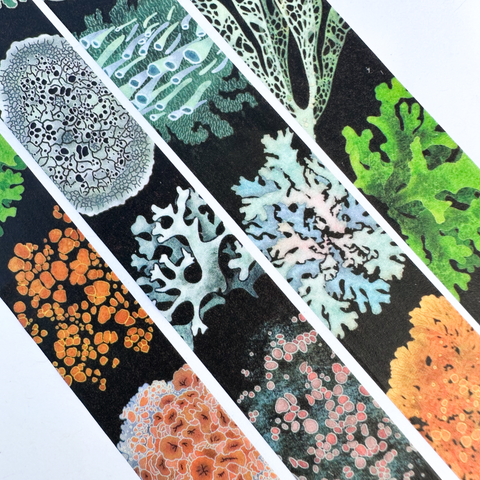 Lichen Washi Tape! by Owl & Bear Studio