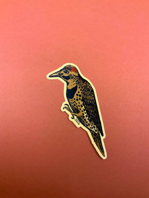 Northern Flicker Outdoor Sticker/Decal by Solstice Handmade