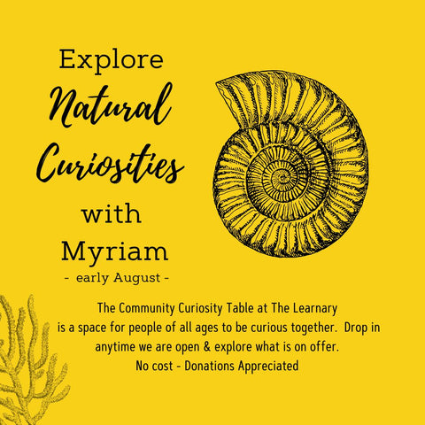 Explore Natural Curiosities with Myriam