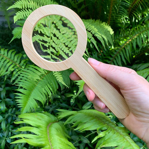 Bamboo Magnifying Glass by Tree Fort Toys