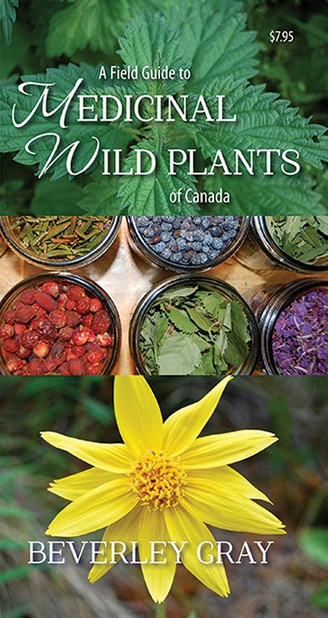Field Guide to Medicinal Wild Plants of Canada - Folding Nature Field Guides