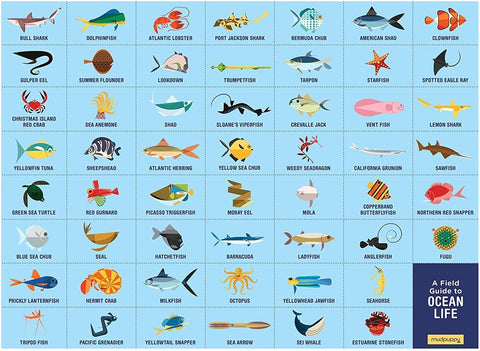 Ocean Life Search & Find Puzzle (64 pieces)