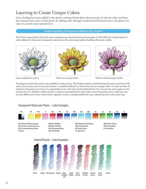 A Step-by-Step Guide to Botanical Drawing & Painting