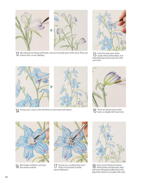 A Step-by-Step Guide to Botanical Drawing & Painting