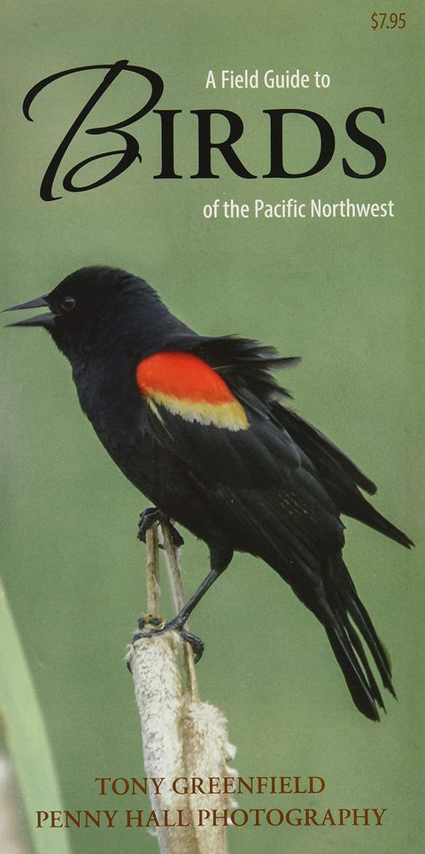 A Field Guide to Birds of the Pacific Northwest