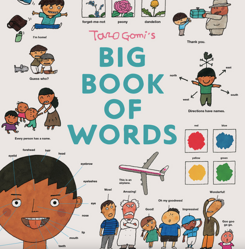 Taro Gomi's Big Book of Words