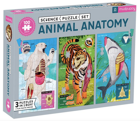Animal Anatomy Science Puzzle Set