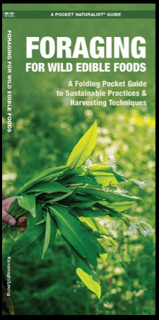 Foraging for Wild Edible Foods - Folding Nature Field Guides