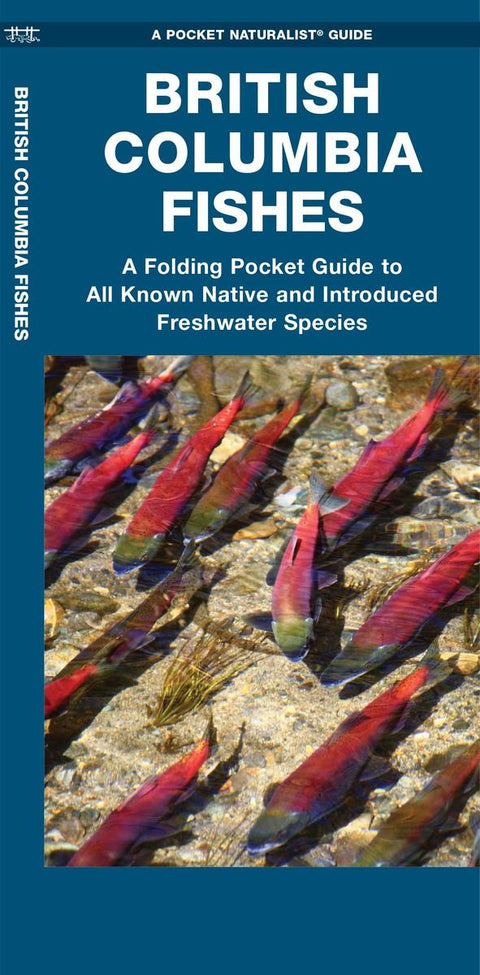 British Columbia Fishes- Folding Nature Field Guide