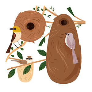 I Love Birds!: 52 Ways to Wonder, Wander, and Explore Birds with Kids