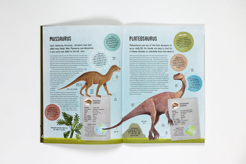 Terrific Timelines: Dinosaurs: Press out, put together, & display!