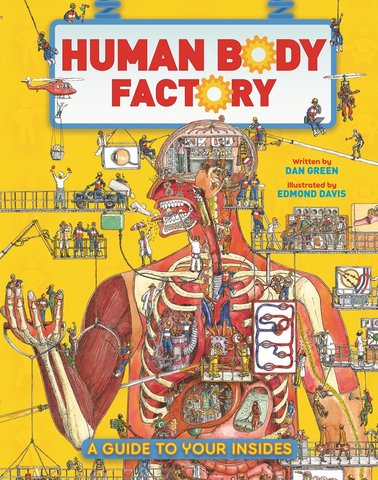 The Human Body Factory: The Nuts and Bolts of Your Insides by Dan Green