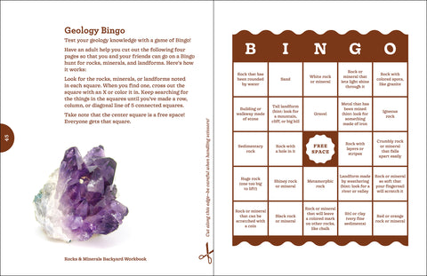 Rocks & Minerals Backyard Workbook: Hands-on Projects, Quizzes, and Activities