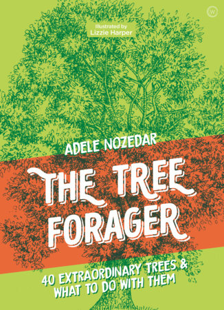 The Tree Forager 40 Extraordinary Trees & What to Do with Them