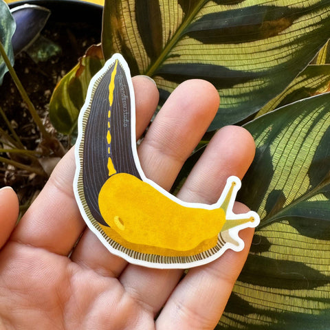 Pacific Banana Slug Sticker (Vinyl) by Owl & Bear Studio