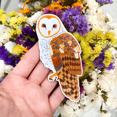 Barn Owl Sticker (Vinyl) by Owl & Bear Studio