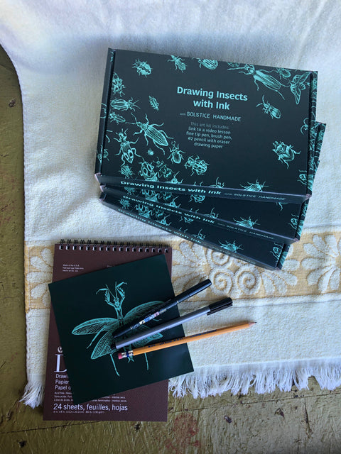 Drawing Insects with Ink- Art Lesson Kit by Solstice Handmade
