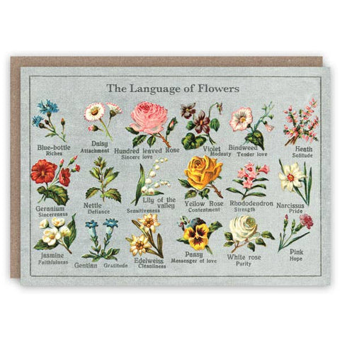 Language of Flowers Greeting Card by The Pattern Book
