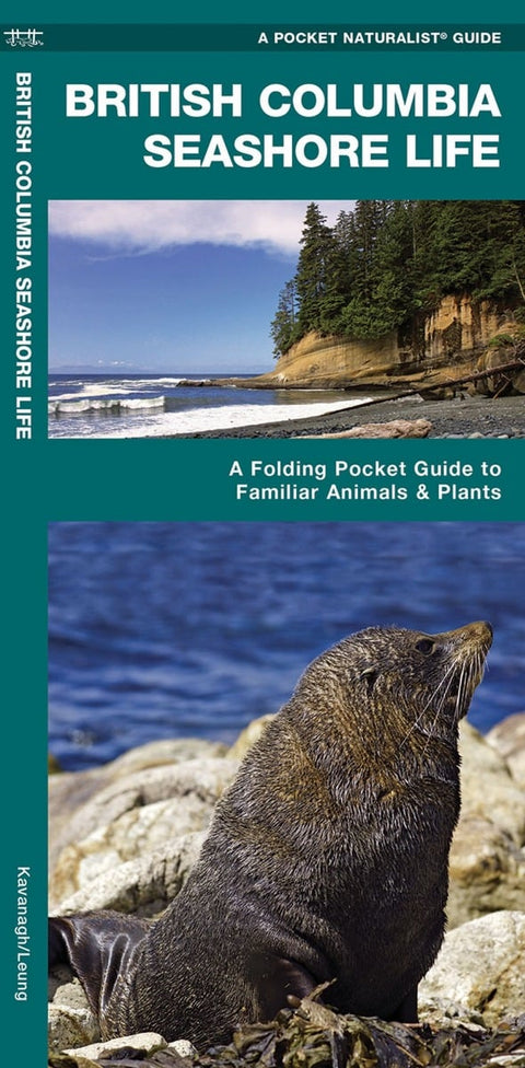 British Columbia Seashore Life - Folding Nature Field Guide
