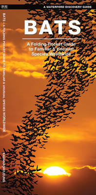 Bats - Folding Nature Field Guide