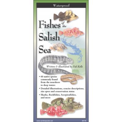 Fishes of the Salish Sea - Folding Nature Field Guide